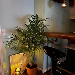 Cozy In Center Apartmán *