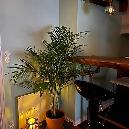 Cozy In Center Апартаменты *