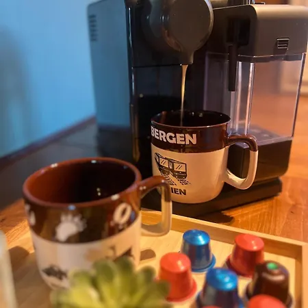 Cozy In Center * ברגן