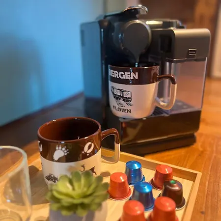 Cozy In Center דירה ברגן