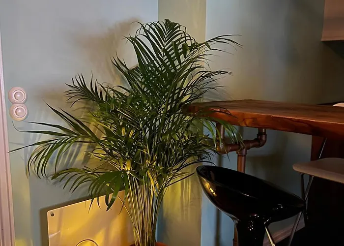 Cozy In Center Διαμέρισμα *